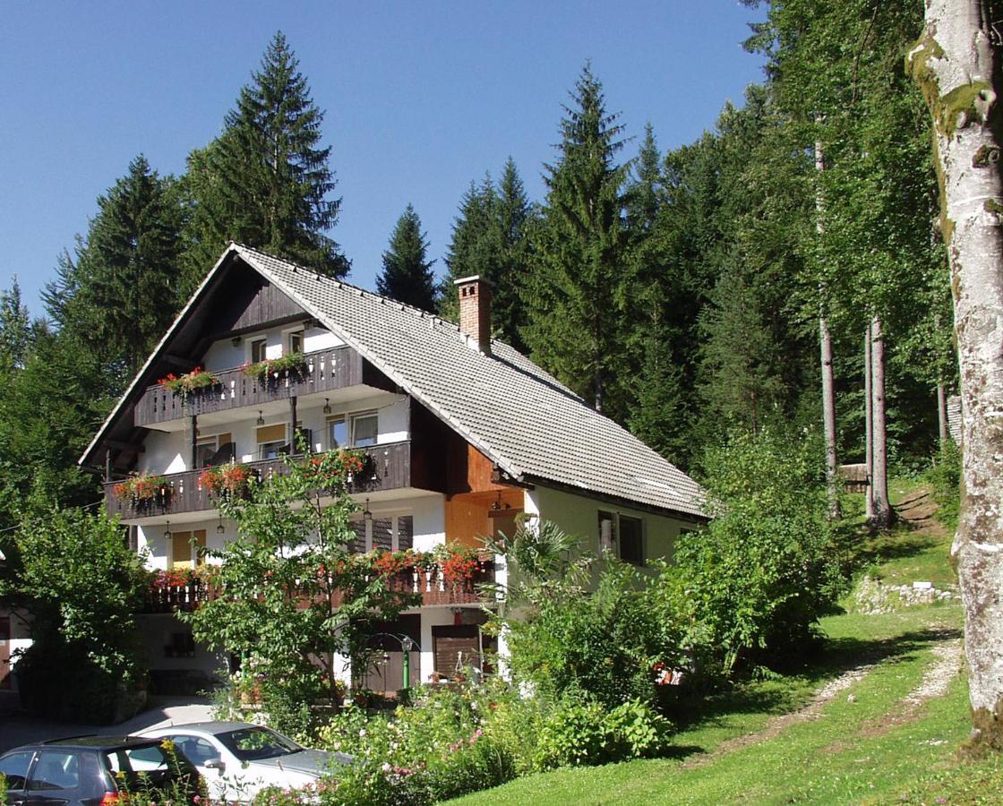 Accommodation Destina, Lake Bohinj Dış mekan fotoğraf