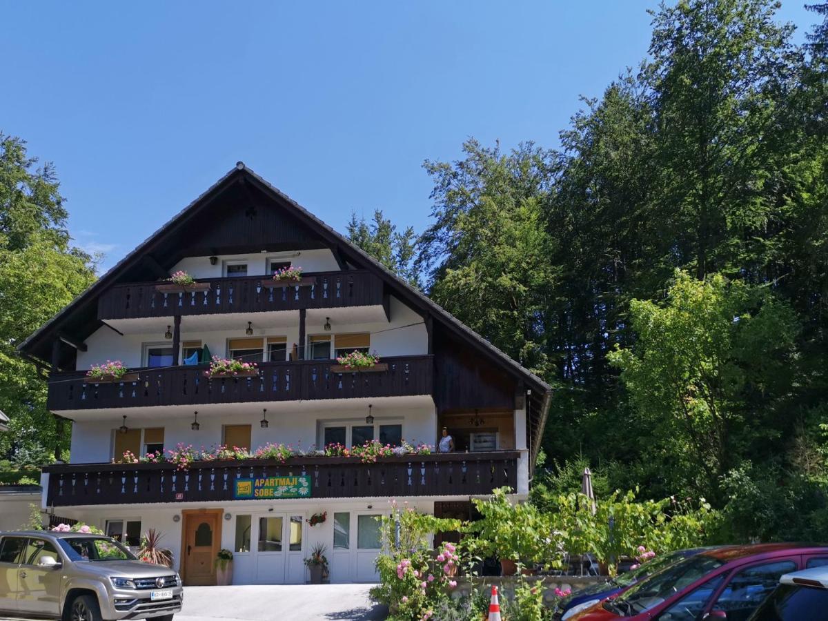 Accommodation Destina, Lake Bohinj Dış mekan fotoğraf