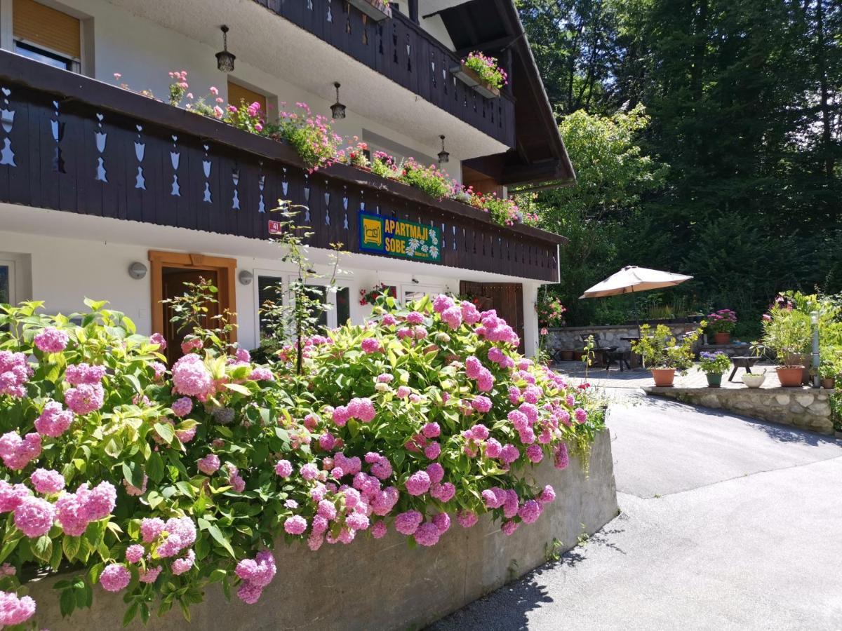 Accommodation Destina, Lake Bohinj Dış mekan fotoğraf